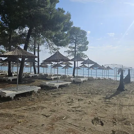 Sebo For Rent Shengjin Albania Sakes