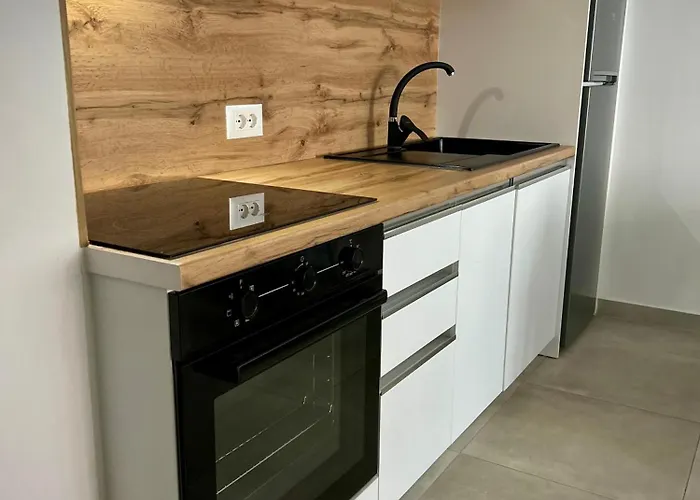 Sebo For Rent Shengjin Albania Sakes