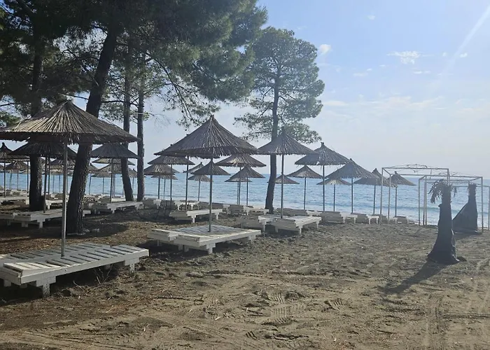 Sebo For Rent Shengjin Albania Sakes